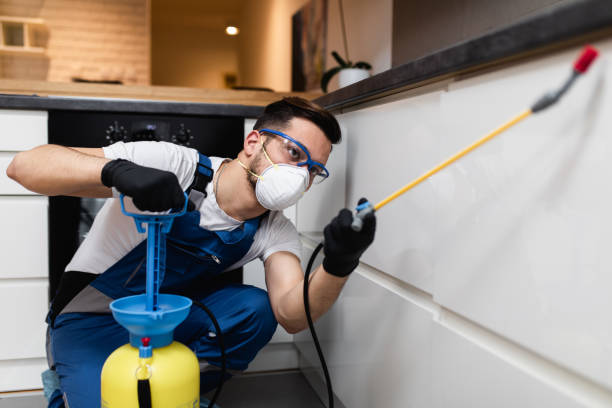 Best Termite Control Services  in Akron, IN