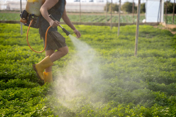 Best Pest Control for Businesses  in Akron, IN