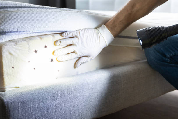 Best Wildlife Control Services  in Akron, IN