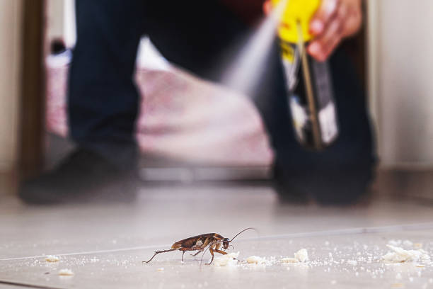 Best Cockroach Control Services  in Akron, IN