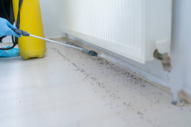 Best Spider Control Near Me  in Akron, IN
