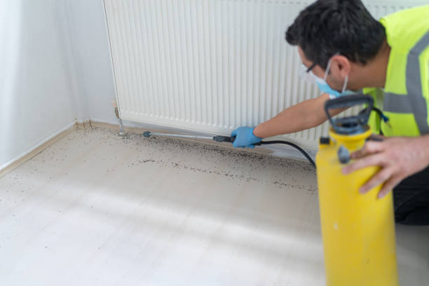 Best Emergency Pest Control  in Akron, IN